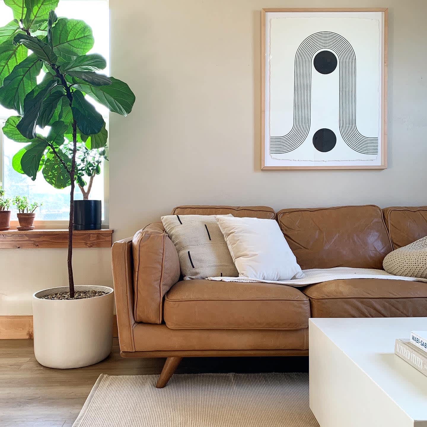 ShaelynnNeel_46350053_FD1D79E0